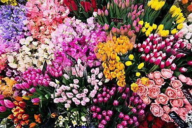 《绝地潜兵2》安装体积为何如此巨大 开发商给出答案